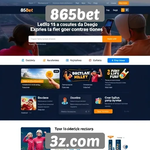 Usabilidade e design do site 865bet